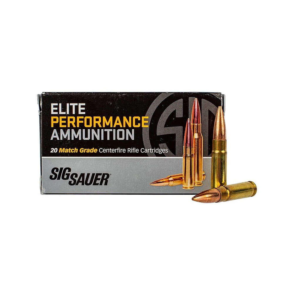 Ammunition Sig Sauer Tactical Rifle SIG AMMO 300 BLK 110G TAC-TX 20/200 • Model: Tactical Rifle